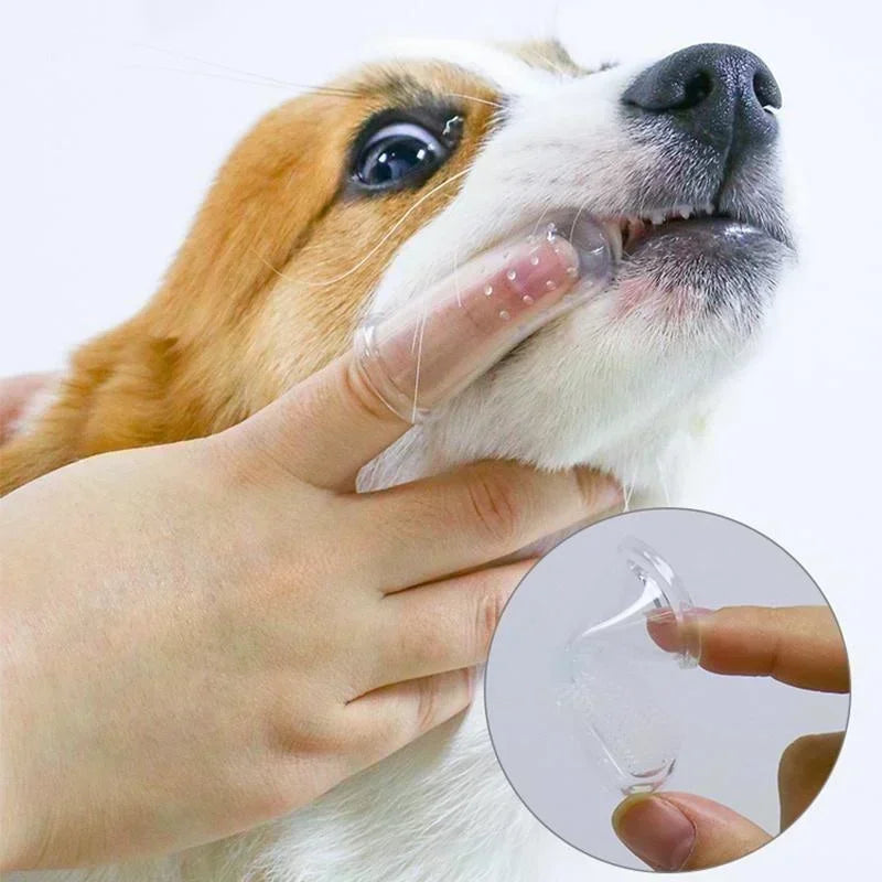 escova dental de