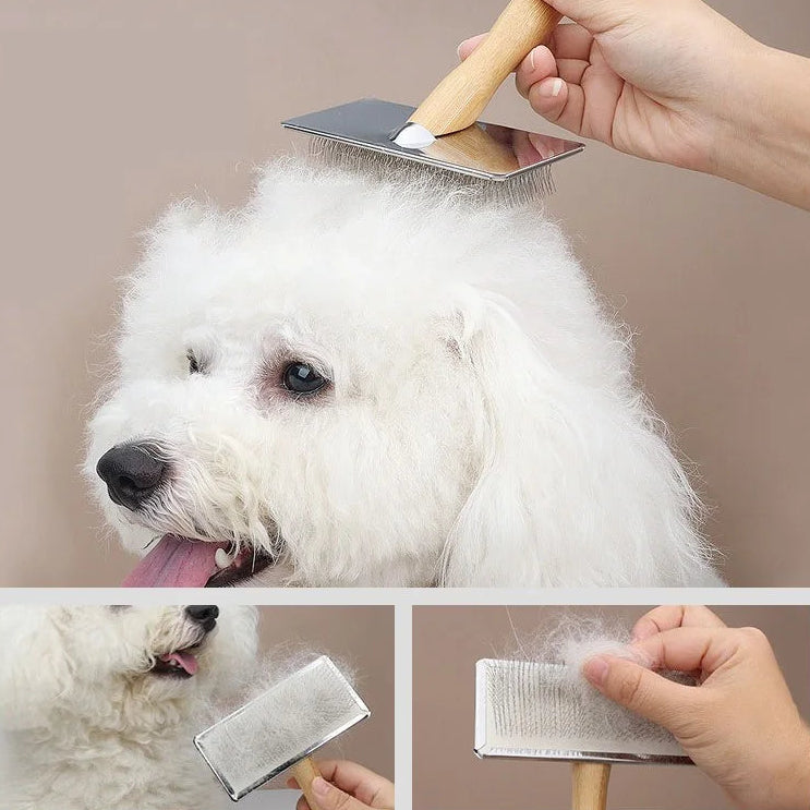 escova para pets